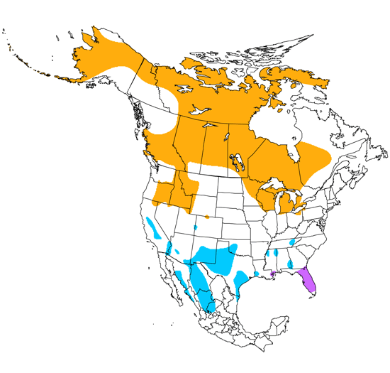 Sandhill Crane Range