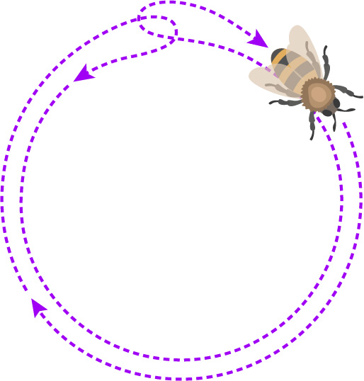 bee round dance