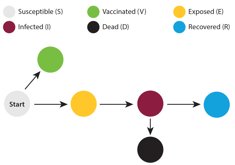 Measles model flow diagram