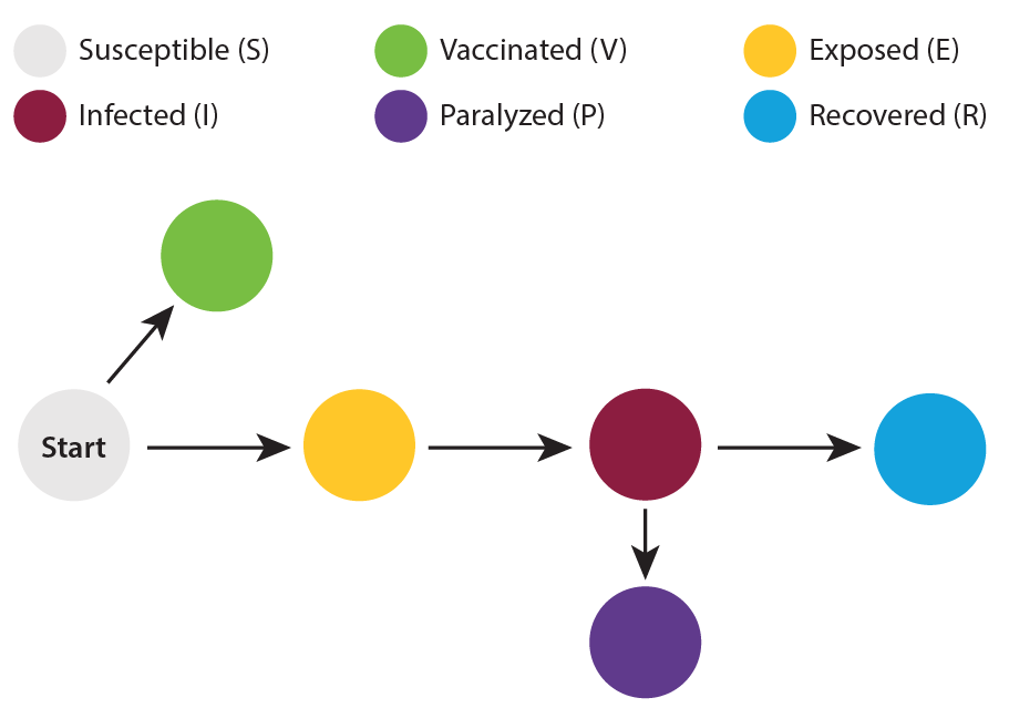 Measles model flow diagram