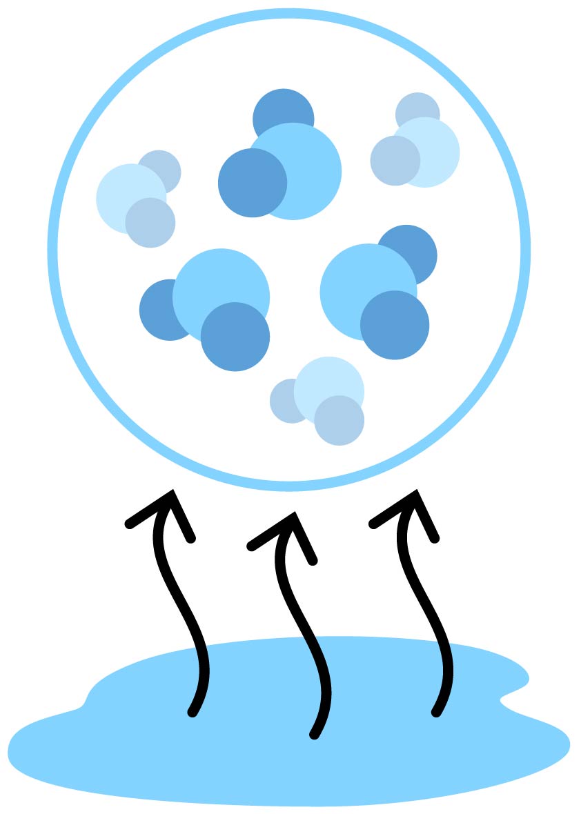 A puddle of water with arrows coming off of it pointing to water molecules.