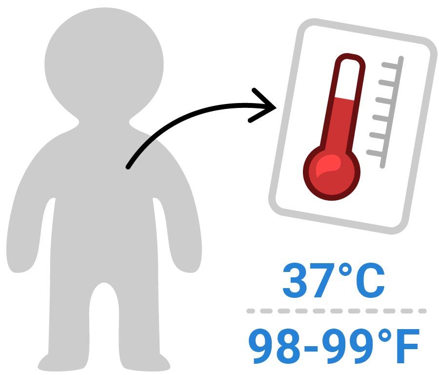 Silueta de una persona con un termómetro. Las cifras 37°C y 98-99°F se ven al lado