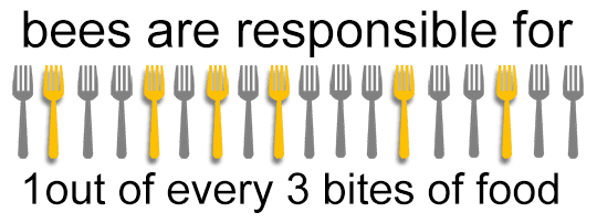 Fork icons showing that 1 in 3 bites we take of food is linked to bees.