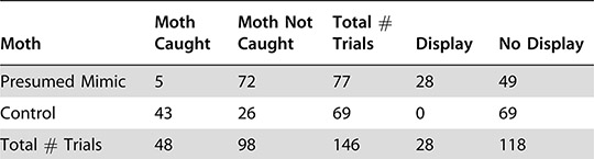 Table of moths caught and not caught by spiders, showing that Brenthia moths are mimicking spiders and avoiding attack.