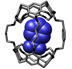 Nitrobenzene molecular cage