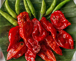 Indian peppers