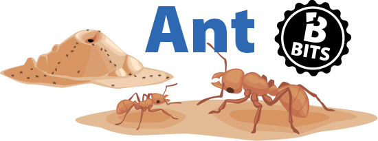 Ant Bits header image