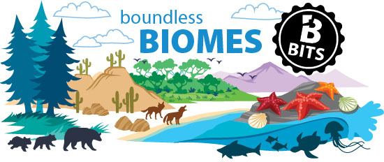 Biome Biology Bits