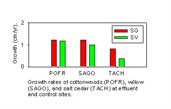 Tree growth rates 1