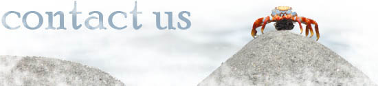 Contact Page Graphic