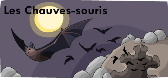 Main header image
