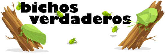 Main header image