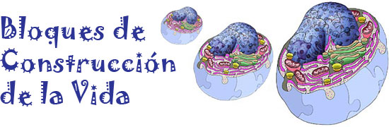 Main header image