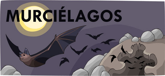 Main header image