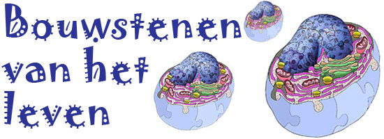 Main header image