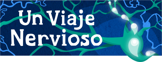 Main header image