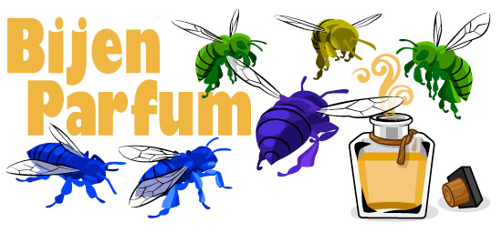 Main header image