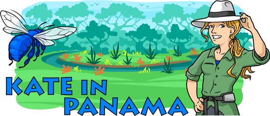 Main header image