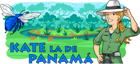Main header image