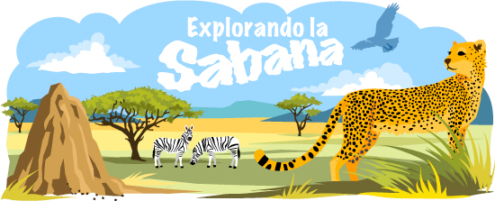 Main header image