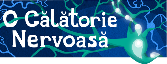 Main header image