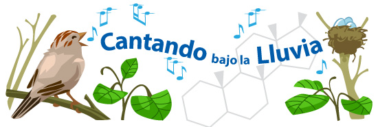 Main header image