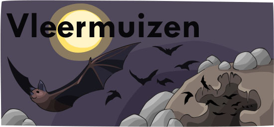 Main header image