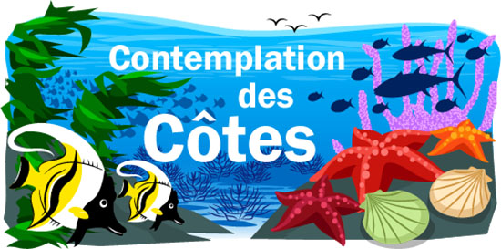 Contemplation des cotes