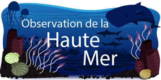 Observation de la haute mer