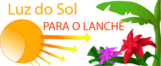 Luz do Sol Para o Lanche