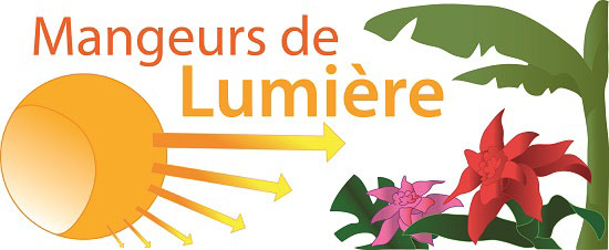 Mangeurs de Lumière illustration