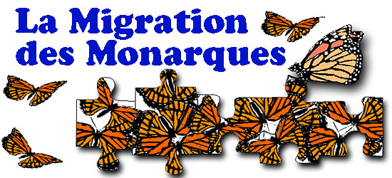 La migration des monarques