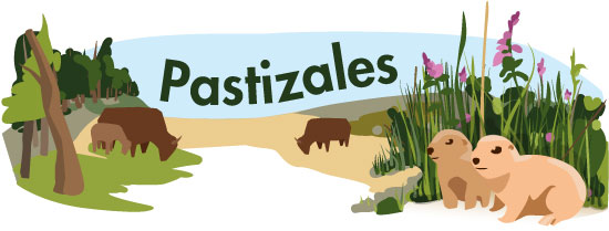 Main header image