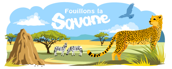 Main header image
