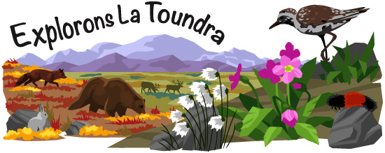 Main header image