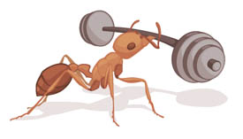 ant lifting weights illustration