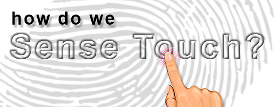 How do we sense touch?
