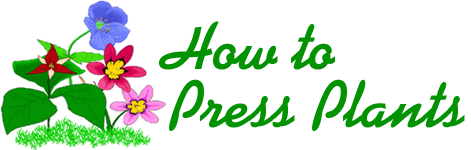 Pressing plants header