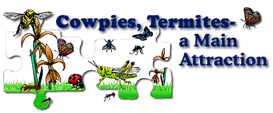 cowpies header image