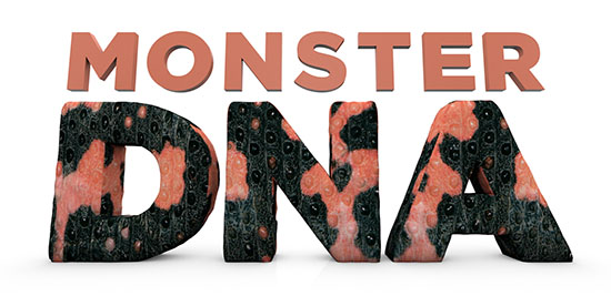Gila monster DNA