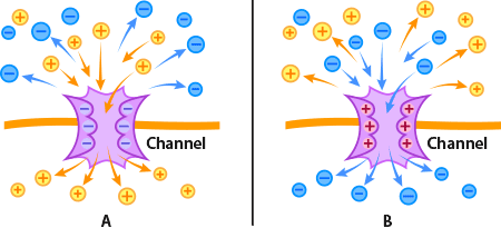 charge channels