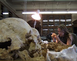 Kelly Harkens analyzing bones