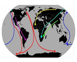 Bird migration routes tundra