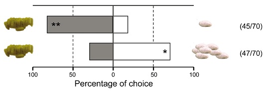 Figure 3 Percentage of Choice