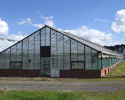 Greenhouse or glasshouse in Shropshire.