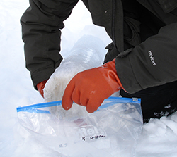 bagging ice core