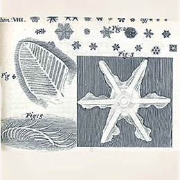 Robert Hooken piirros lumihiutaleista, joita hän tutki mikroskoopillaan.