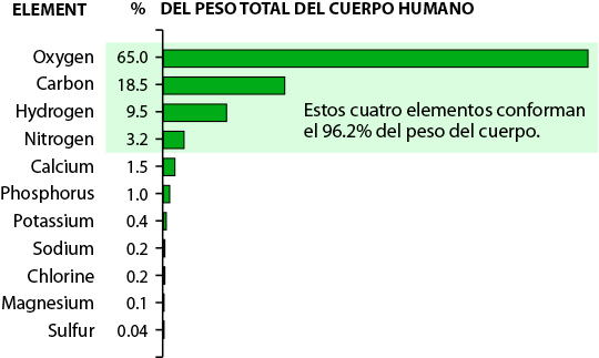 Elements in Human Body by Percent