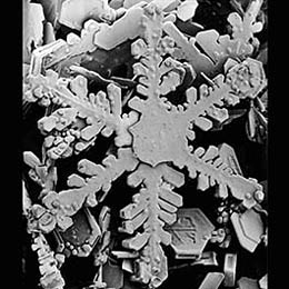 Pyyhkäisyelektronimikroskoopilla otettu kuva lumihiutaleesta.