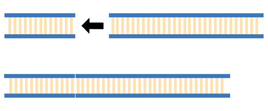 Illustration of non-homologous end joining, showing cut bits of DNA just rejoining to the available ends.